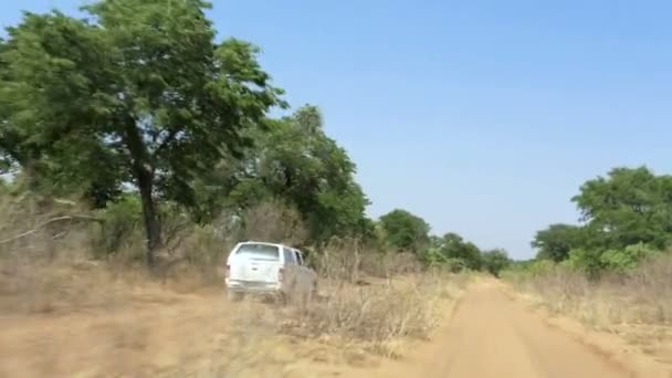 Carro dirigindo na estrada principal estrada para Okavango — Vídeo de Stock