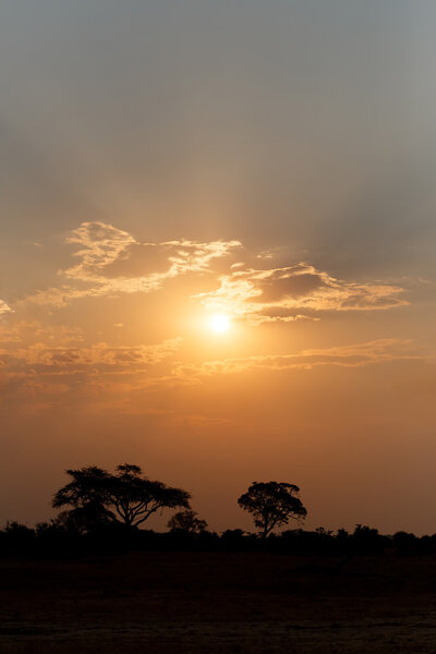 African sunset in Hwange national park, matabeleland, North Zimbabwe