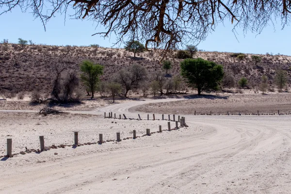 Strada nel parco transfontier di Kgalagadi — Foto Stock