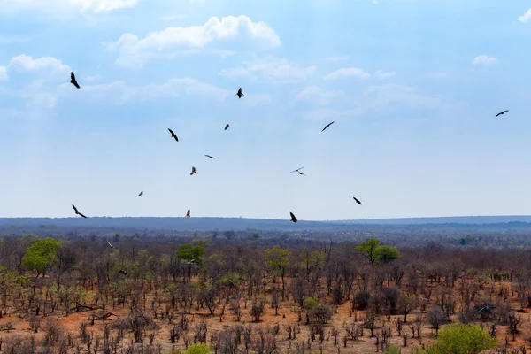 Vista del paisaje africano — Foto de Stock