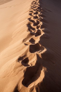 human footprints on dune in Hidden Vlei in Namib desert 