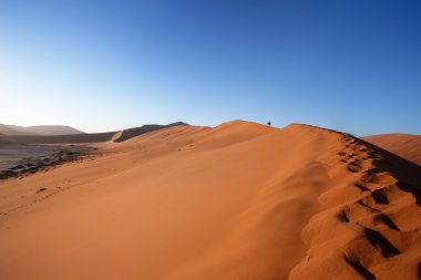 Dune Namib Çölü'nde gizli Vlei içinde 
