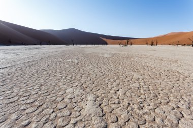Namib Çölü'nde gizli Vlei güzel manzara 