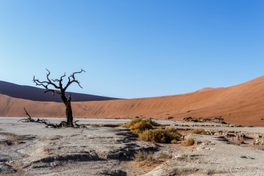 Namib Çölü'nde gizli Vlei güzel manzara 