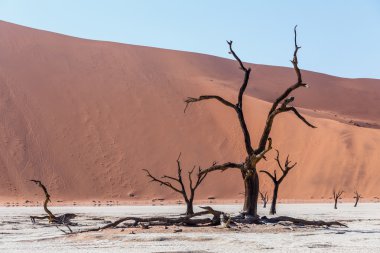 Namib Çölü'nde gizli Vlei güzel manzara 