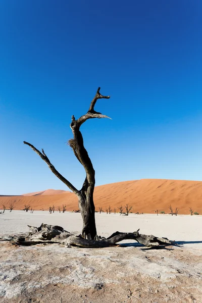 美丽的风景的隐藏湖在纳米布沙漠 — 图库照片