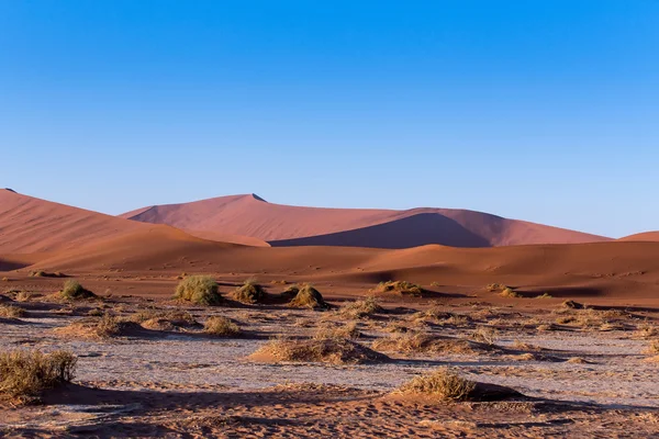 Bela paisagem de Hidden Vlei no deserto do Namib — Fotografia de Stock