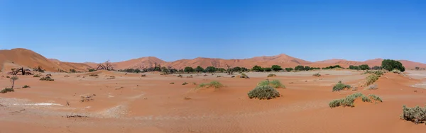 Bela paisagem de Vlei escondido no deserto do Namib panorama — Fotografia de Stock