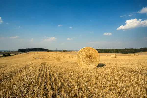 Beautiful landscape with straw bales in harvested fields — Stock Photo, Image