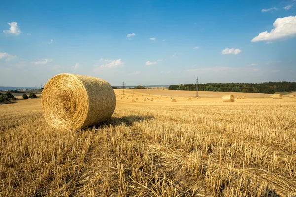 Beautiful landscape with straw bales in harvested fields — Stock Photo, Image