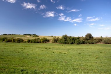 Yaz Yaz kırsal manzara 