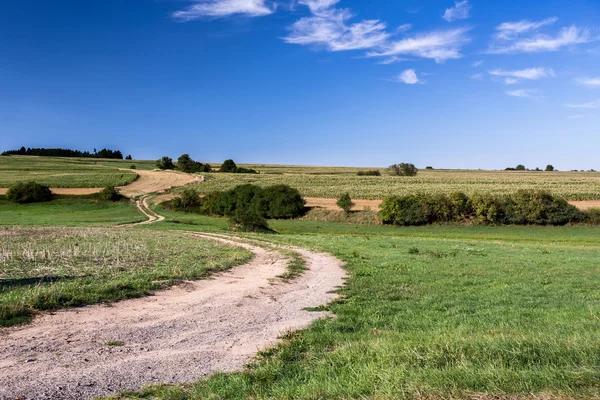 Camino rural en hermosa primavera paisaje rural — Foto de Stock