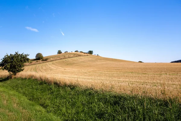 Sommaren landsbygdens sommar landskap — Stockfoto