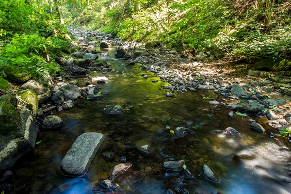 Small wild river in Bohemian forest — Stock Photo, Image