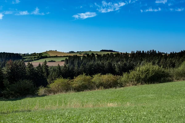 Verão paisagem de verão rural — Fotografia de Stock