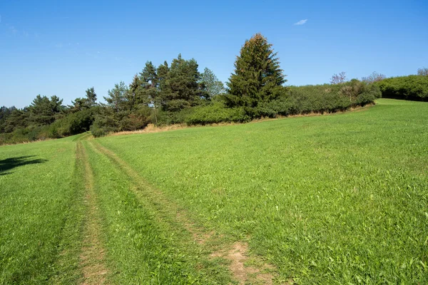 Sommaren landsbygdens sommar landskap — Stockfoto