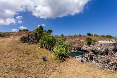 Nusa Penida Adası'nda sahil şeridi