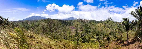 Индонезийский пейзаж с вулканом — стоковое фото