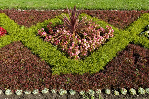 Castle garden i Lednice, Tjeckien — Stockfoto