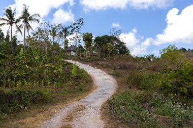Nusa Penida adada Roand