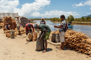 Maroantsetra, Madagaskar - 18 Ekim 2016: Yerel işçiler Antainambalana Nehri yakınlarındaki nehir taşımacılığı için yakacak odun ve kömür yığınları hazırlayıp hazırlıyorlar.