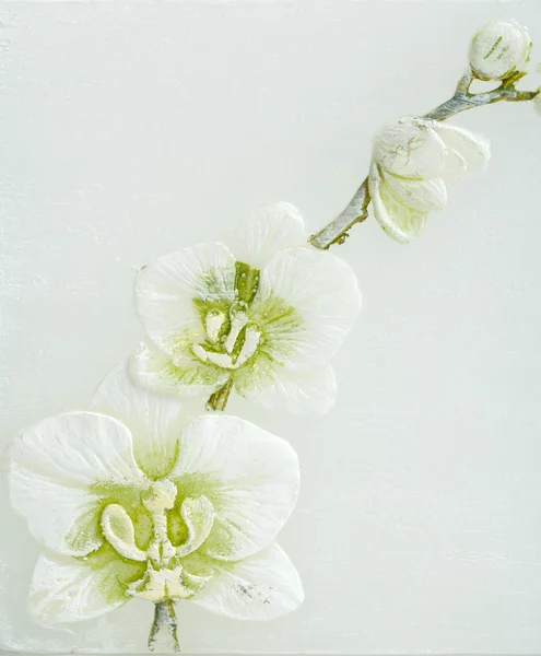 Fond printanier abstrait avec des fleurs — Photo