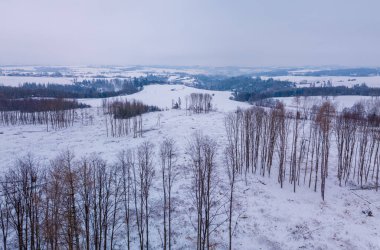 Çek Cumhuriyeti, Vysocina, İskoçya 'da tarlaları ve ağaçları olan kış manzarası