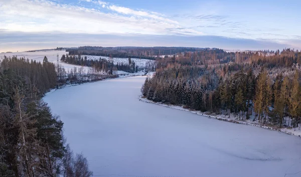 Kışın kıyıda karlı bir ormanla birlikte donmuş bir göl manzarası. İskoçya, Vysocina, Çek Cumhuriyeti