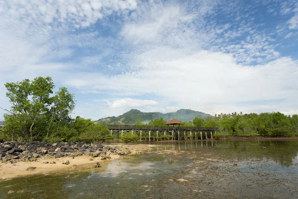 Indonesian landscape with mangrove and view point walkway — Stock Photo, Image