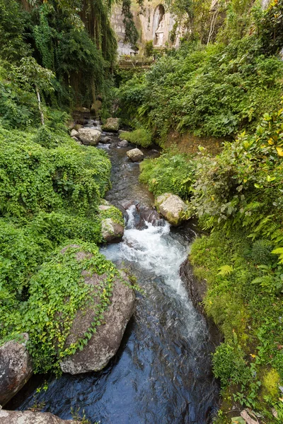 Flusslandschaft in Tempel gunung kawi — Stockfoto