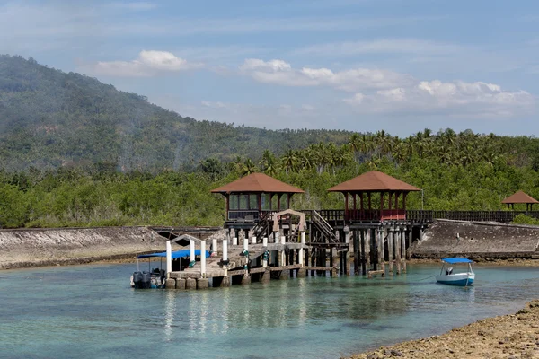 Indonesian landscape with mangrove and view point walkway — Stock Photo, Image