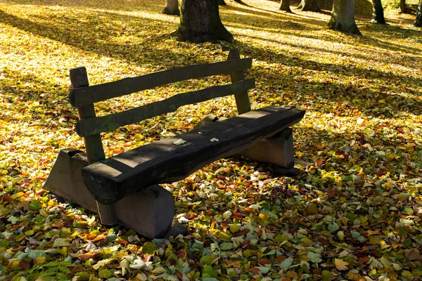 Panca in legno nel parco — Foto Stock