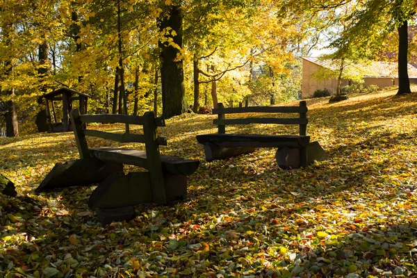 Panca in legno nel parco — Foto Stock