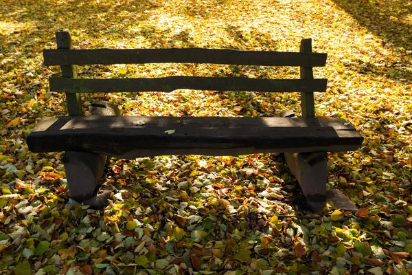 Träbänk i parken — Stockfoto