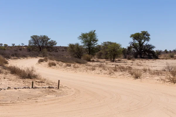 Strada nel parco transfontier di Kgalagadi — Foto Stock