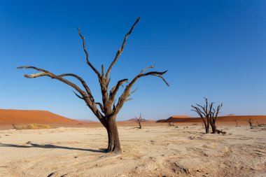 Namib Çölü panoramasında Saklı Vlei 'nin güzel manzarası