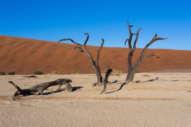 Namib Çölü panoramasında Saklı Vlei 'nin güzel manzarası