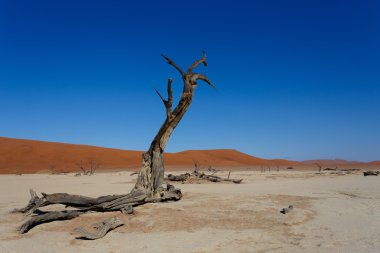 gizli ölü Vlei güzel gündoğumu peyzaj
