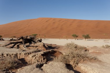 Namib Çölü panoramasında Saklı Vlei 'nin güzel manzarası