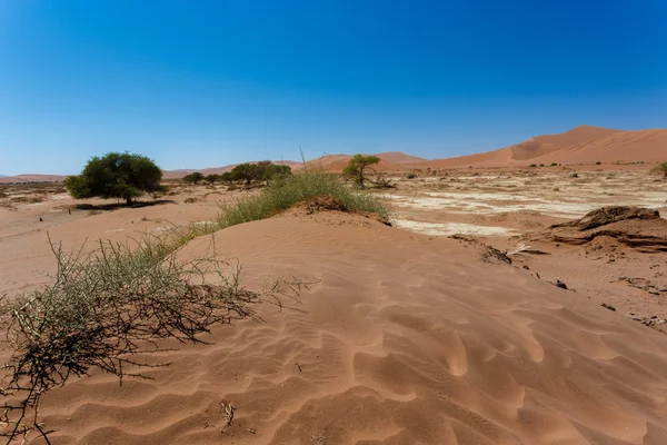 Beautiful sunrise landscape of hidden Dead Vlei — Stock Photo, Image