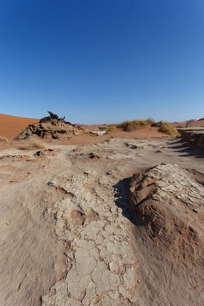 Beautiful sunrise landscape of hidden Dead Vlei — Stock Photo, Image