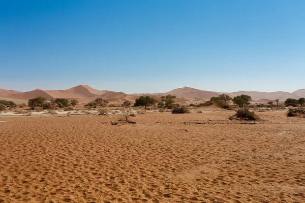 Όμορφη ανατολή του ηλίου τοπίο της κρυφό νεκρός Vlei — Φωτογραφία Αρχείου