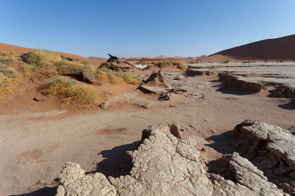 Beautiful sunrise landscape of hidden Dead Vlei — Stock Photo, Image