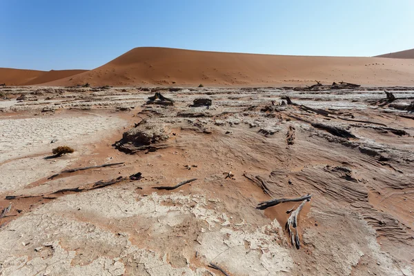 Vacker soluppgång landskap av dolda döda Vlei — Stockfoto