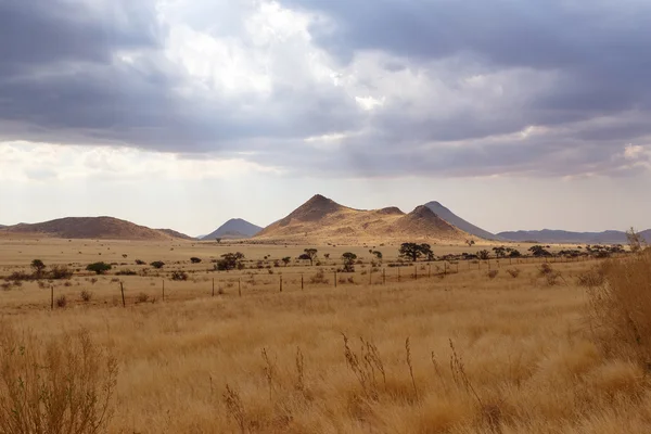 Fantrastic Namibia desert landscape — Stock Photo, Image