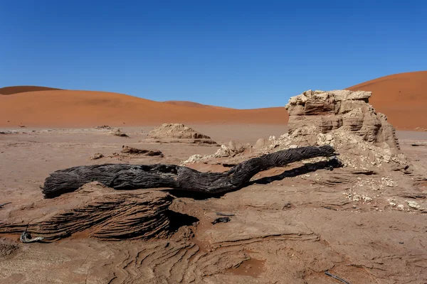 Hermoso paisaje del amanecer de Dead Vlei oculto — Foto de Stock