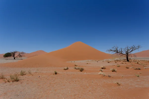 Dűne 45 a sossusvlei Namíbia halott fa — Stock Fotó