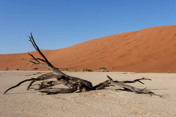 Prachtig landschap van Verborgen Vlei in Namib woestijn panorama — Stockfoto