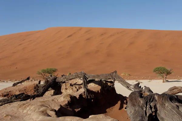 Krásná krajina skryté Vlei v Namib pouštní panorama — Stock fotografie