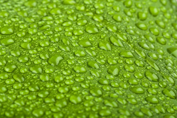 Gocce d'acqua sulla foglia verde della pianta — Foto Stock